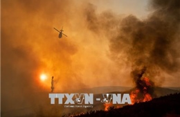 Hơn 100 đám cháy rừng trên khắp nước Mỹ