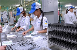 Nhiều doanh nghiệp Hong Kong muốn chọn Việt Nam để đặt nhà máy khu vực
