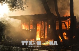 Hàng trăm người dân Hy Lạp phải sơ tán vì cháy rừng