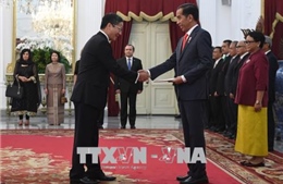 Tổng thống Indonesia mong muốn tăng cường hợp tác, phối hợp toàn diện với Việt Nam 