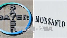 Bất chấp bê bối, Bayer vẫn sáp nhập công ty hoá chất Monsanto vào tập đoàn 
