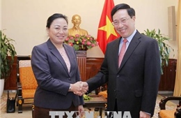 Phó Thủ tướng Phạm Bình Minh tiếp Thứ trưởng Bộ Ngoại giao Lào 