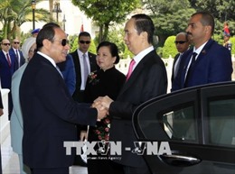 Chủ tịch nước Trần Đại Quang hội đàm với Tổng thống Ai Cập Abdel Fattah Al Sisi