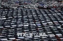 EU để ngỏ khả năng miễn thuế đối với ô tô nhập khẩu từ Mỹ