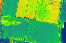 Sử dụng hình ảnh vệ tinh để lập bản đồ cây trồng