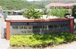 Chuyển 5 đơn vị sự nghiệp công lập tỉnh Bình Định thành công ty cổ phần