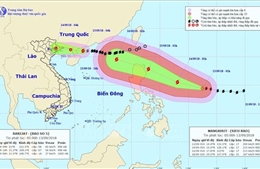 Chủ động ứng phó với áp thấp nhiệt đới trên đất liền và siêu bão Mangkhut