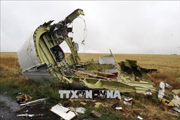 Nga: Số hiệu tên lửa bắn hạ máy bay MH17 là của quân đội Ukraine