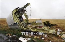 Ukraine bác bỏ tuyên bố mới của Nga liên quan máy bay MH17