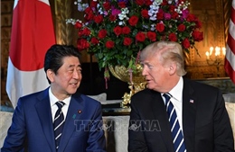 Nhật Bản và Mỹ nhất trí tiếp tục phối hợp chặt chẽ trong vấn đề Triều Tiên