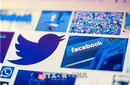 Xu thế quảng cáo trên các công cụ tìm kiếm và mạng xã hội