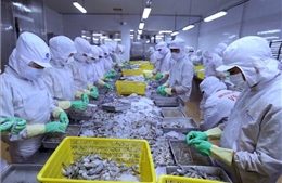 Xuất khẩu hải sản sang EU bị tác động mạnh bởi thẻ vàng IUU
