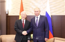 Niềm hy vọng về bước đột phá trong quan hệ kinh tế - thương mại Nga - Việt