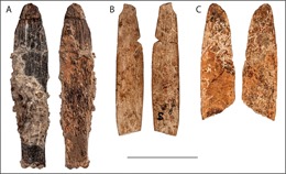 Kinh ngạc về độ tinh xảo của con dao 90.000 năm tuổi vừa được tìm thấy