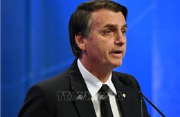 Kết quả sơ bộ bầu cử tổng thống Brazil: Ứng cử viên cánh hữu đang dẫn đầu