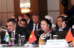 Việt Nam sẵn sàng ủng hộ hoạt động hợp tác với các nghị viện Á Âu