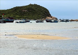 Vịnh Vĩnh Hy đẹp nhất nhì Việt Nam có nguy cơ trở thành bãi bồi