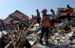 22 quốc gia cam kết hỗ trợ nạn nhân động đất, sóng thần ở Indonesia