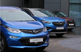 Đức điều tra hãng xe Opel về hành vi gian lận khí thải