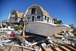 Mỹ: Số người thiệt mạng trong bão Michael tiếp tục tăng