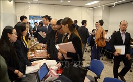 Thúc đẩy cơ hội hợp tác thương mại Việt Nam - Nhật Bản