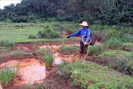 Xử lý vụ nước màu đỏ chứa bùn thải từ nhà máy bô xít chảy ra suối tại Đắk Nông