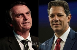Brazil tiến hành bầu cử tổng thống vòng hai​