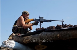 LHQ kêu gọi các bên tham chiến ở Đông Ukraine đảm bảo an toàn cho người dân