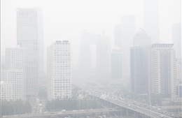 Hội nghị toàn cầu lần thứ nhất về ô nhiễm không khí và sức khỏe khai mạc tại Thụy Sĩ