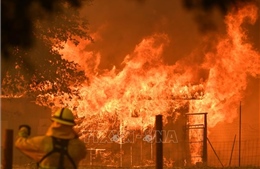 Số người thiệt mạng do cháy rừng tại California tăng lên mức kỷ lục
