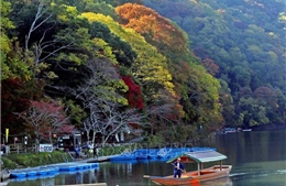 Chiêm ngưỡng cảnh sắc tuyệt đẹp ở công viên Arashiyama, Kyoto