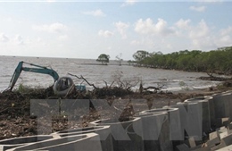 Giới thiệu dự án cải thiện môi trường định cư vùng bờ Đồng bằng sông Cửu Long