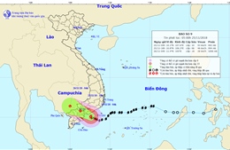 Khoảng 16 giờ ngày 25/11, bão số 9 sẽ đi vào đất liền từ Nam Bình Thuận đến Bến Tre, suy yếu thành áp thấp nhiệt đới