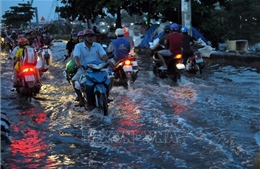 Gỡ vướng cho Dự án giải quyết ngập do triều khu vực TP Hồ Chí Minh