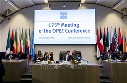 OPEC tiếp tục thảo luận cắt giảm sản lượng dầu mỏ