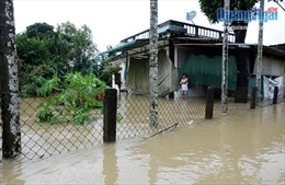 Quảng Ngãi: Một số xã bị ngập úng cục bộ do mưa lũ