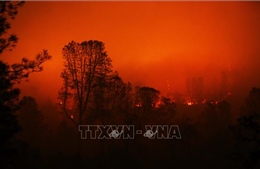 Số người bị coi mất tích do cháy rừng tại California giảm từ 1.200 xuống còn 3