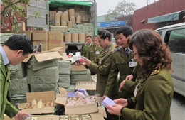 Từ nay đến 22/2/2019, cao điểm kiểm soát thị trường dịp Tết Kỷ Hợi