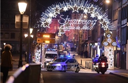 Vụ nổ súng tại chợ Giáng sinh ở Strasbourg, Pháp: Trong số nạn nhân, không có người Việt Nam
