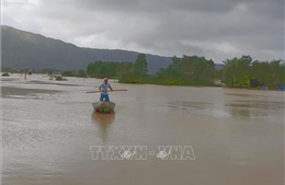Mưa lũ tại Bình Định làm 6 người chết, hơn 10.000 ngôi nhà bị ngập sâu
