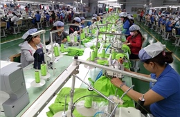 Kim ngạch xuất khẩu dệt may đạt trên 36 tỷ USD