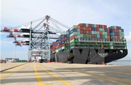 Cần một cảng lớn trung chuyển hàng hóa cho cả vùng đồng bằng sông Cửu Long
