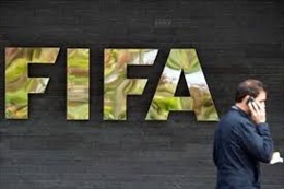 FIFA trừng phạt cựu Chủ tịch Liên đoàn bóng đá Gambia vì tội nhận hối lộ