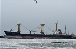 Nga đề nghị các nước phương Tây kiềm chế căng thẳng tại Eo biển Kerch