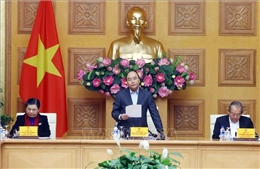 Chỉ đạo của Thủ tướng Chính phủ 