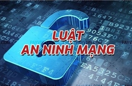 Luật An ninh mạng: Tin giả ... trách nhiệm thật