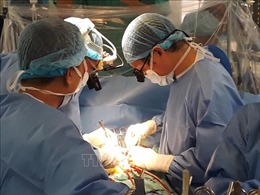 Thực hiện thành công ca ghép tim xuyên Việt từ người hiến chết não