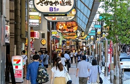 Du lịch hạ tầng Nhật Bản: Khung cảnh kỳ vĩ từ trên cao - Bài 2