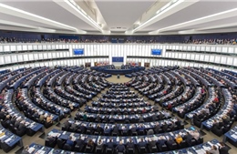 Nghị viện châu Âu &#39;bật đèn xanh&#39; cho việc kiểm soát đầu tư của Trung Quốc