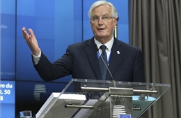 Trưởng đoàn đàm phán EU: Anh rút khỏi EU đòi hỏi một quyết định thay vì cần thêm thời gian